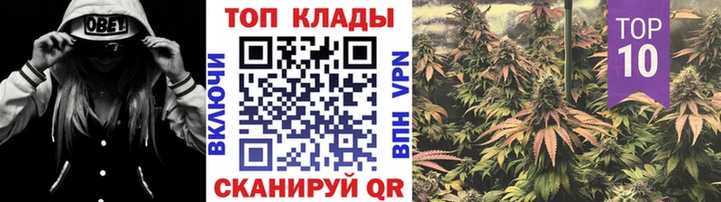 Что такое Курган СК  МАРИХУАНА  КОКАИН 