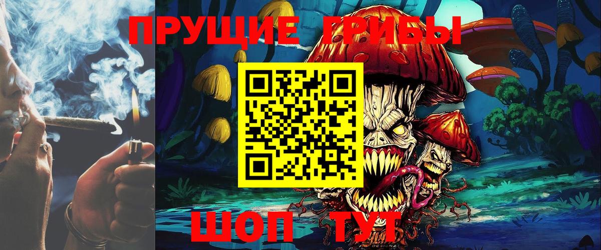 Галлюциногенные грибы прущие грибы  Курган  цены   Псилоцибиновые грибы GOLDEN TEACHER 