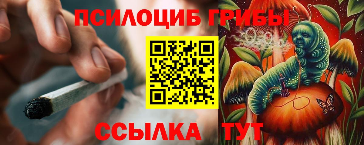 Псилоцибиновые грибы GOLDEN TEACHER  Галлюциногенные грибы мухоморы  Вход с VPN  Курган 