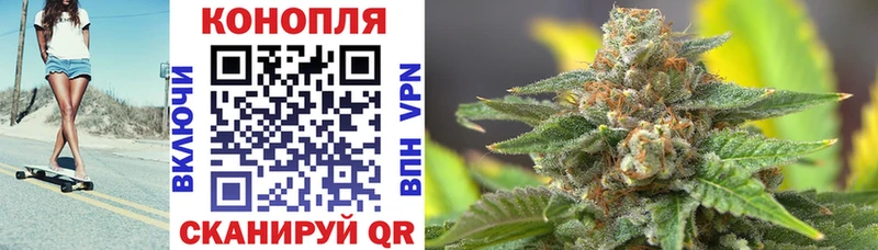 kraken рабочий сайт  Курган  Канабис сатива 